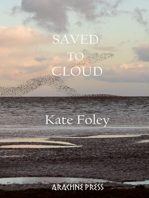 cover image of Saved to Cloud